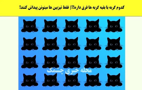 جواب معمای گربه را در عکس پیدا کنید