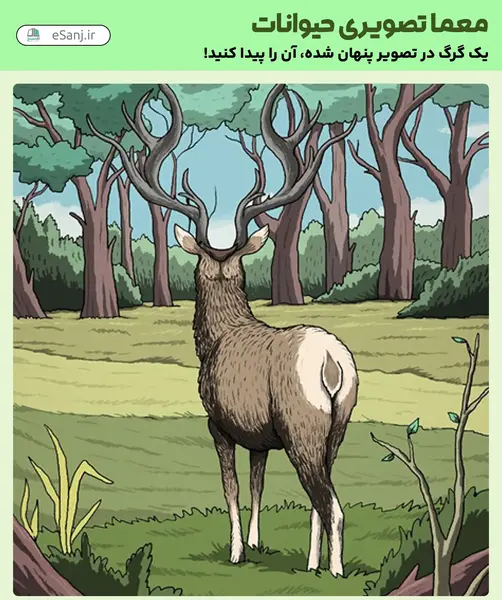 جواب معمای گربه را در عکس پیدا کنید