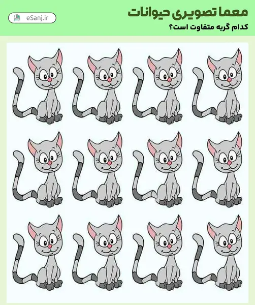 جواب معمای گربه را در عکس پیدا کنید