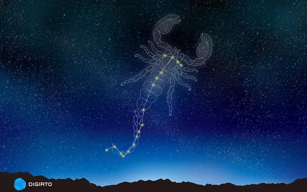 عکس گربه و شب و ستاره