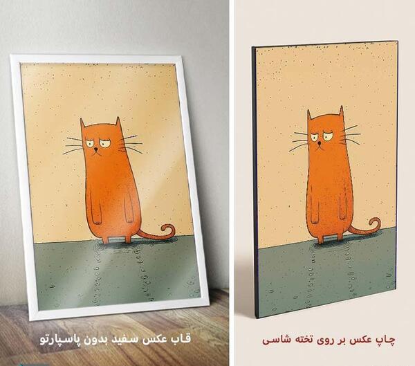 عکس گربه دپرس
