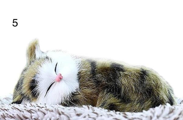 عکس اسباب بازی گربه خوابیده