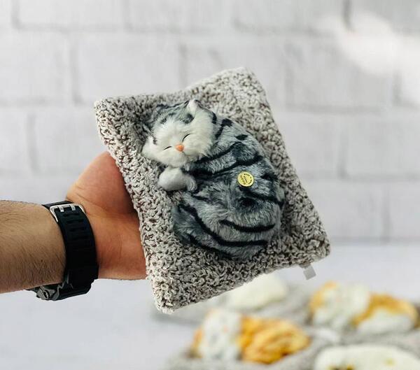 عکس اسباب بازی گربه خوابیده