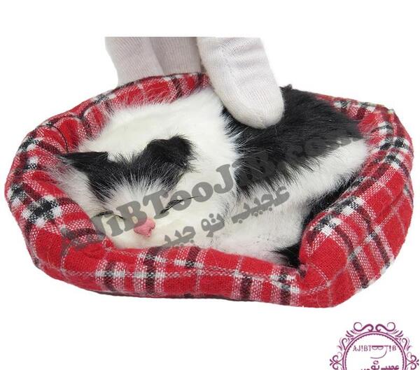 عکس اسباب بازی گربه خوابیده