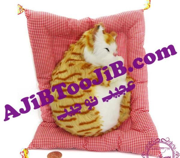 عکس اسباب بازی گربه خوابیده
