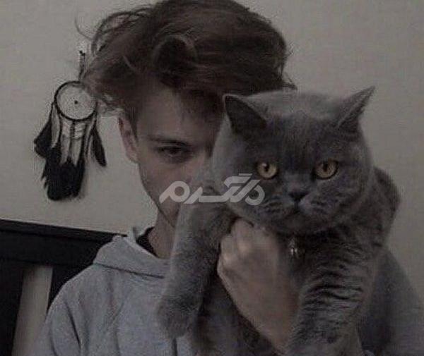 عکس گربه برای پروفایل خفن پسرانه