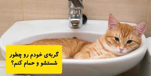 عکس گربه خیابانی کثیف