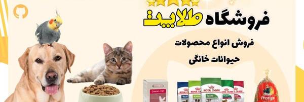 عکس گربه ها خنده دار