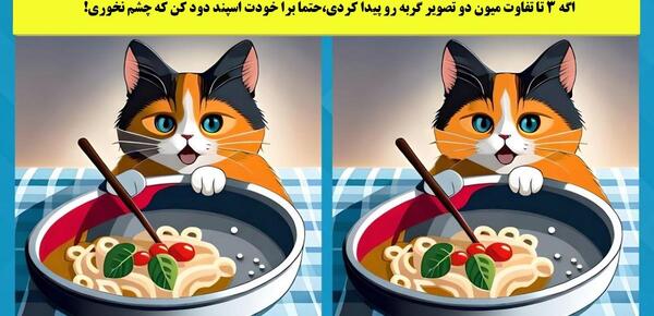عکس مستوی بعضی حیوانات گربه نیستند