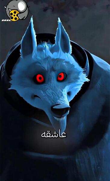 عکس پروفایل گربه چکمه پوش