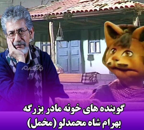 عکس گربه تو خونه مادر بزرگه