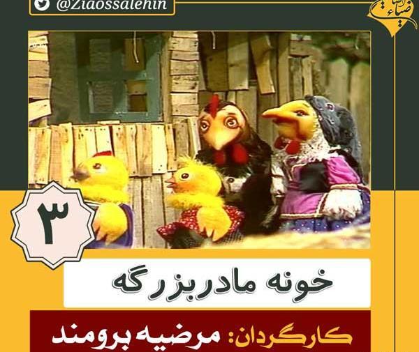 عکس گربه تو خونه مادر بزرگه