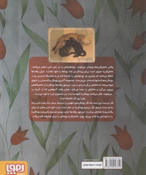 عکس بچه گربه تنها