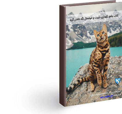عکس گربه ی پلنگی