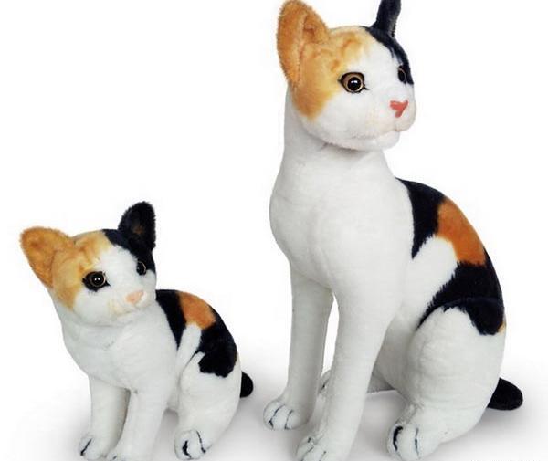عکس گربه سیاه و سفید پشمالو