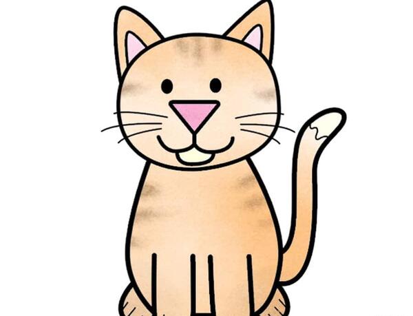 عکس گربه برای نقاشی حرفه ای