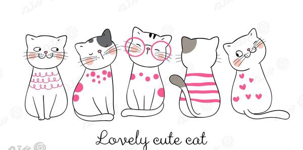 عکس گربه برای نقاشی حرفه ای