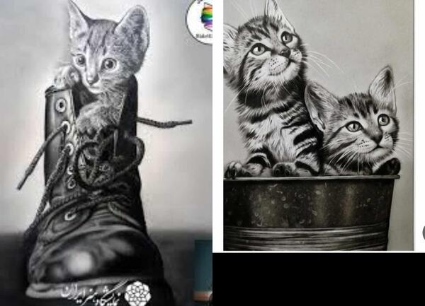 عکس گربه برای نقاشی حرفه ای