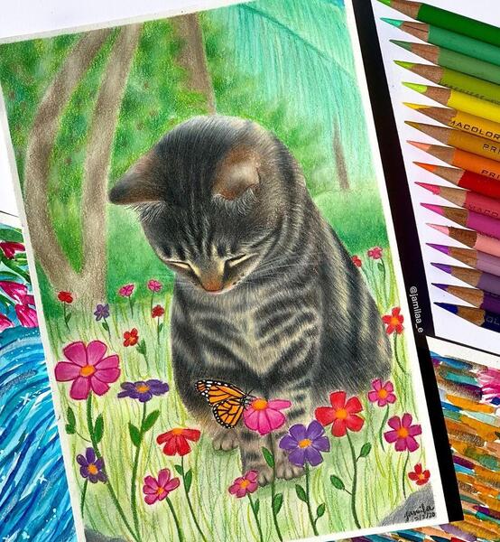عکس گربه برای نقاشی حرفه ای