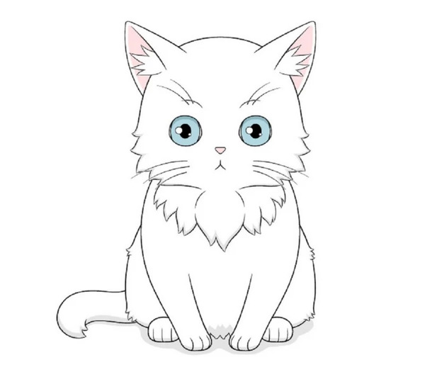 عکس گربه برای نقاشی حرفه ای