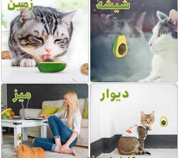 عکس آبنبات گربه