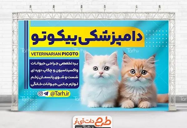 عکس بچه گربه آبی