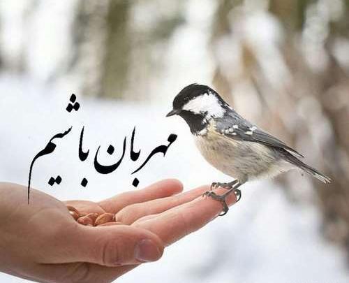 عکس مادر شاهین نجفی