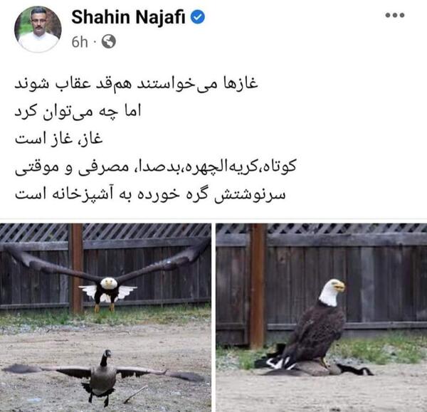 عکس مادر شاهین نجفی