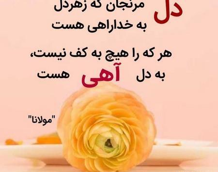 طعنه تيكه دار عکس پروفایل مادر شوهر بدجنس