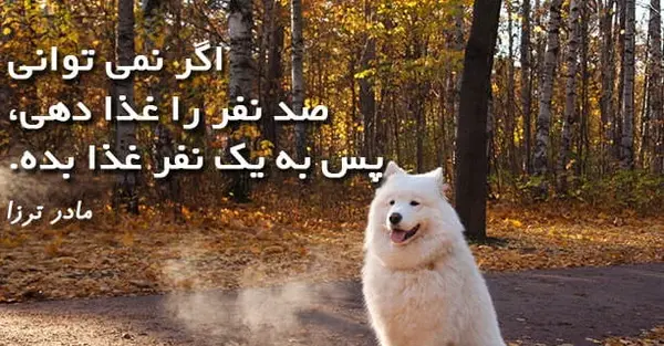 عکس از مادر ترزا