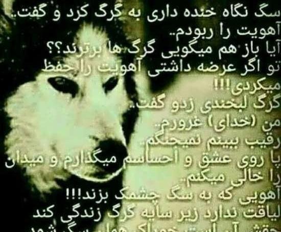 عکس پروفایل مرد میدان