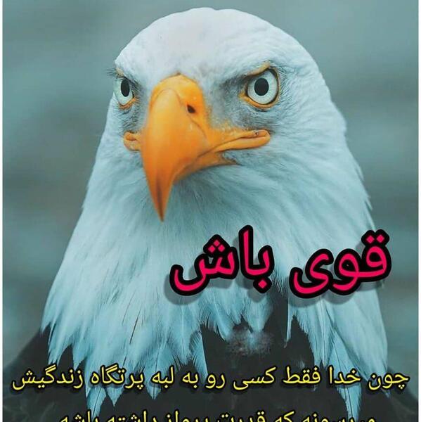 عکس پروفایل مرد قدرتمند