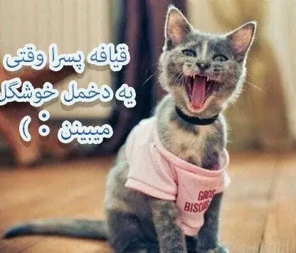 عکس مرد با روسری خنده دار