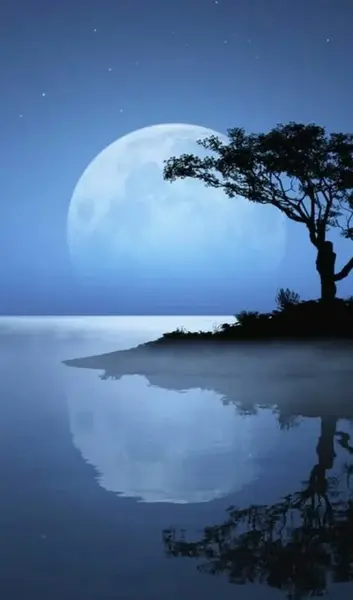عکس ماه در شب مهتابی