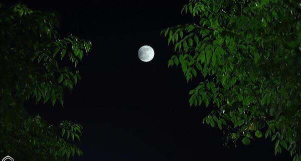 عکس از ماه گرفتگی