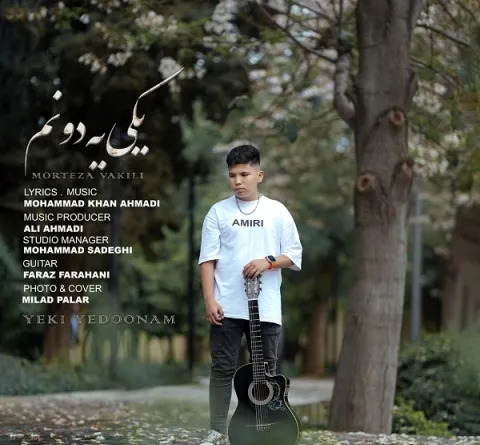 دانلود آهنگ قشنگی مثل عکس ماه روی آب
