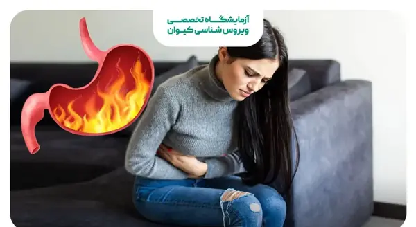 عکس ماه های حاملگی