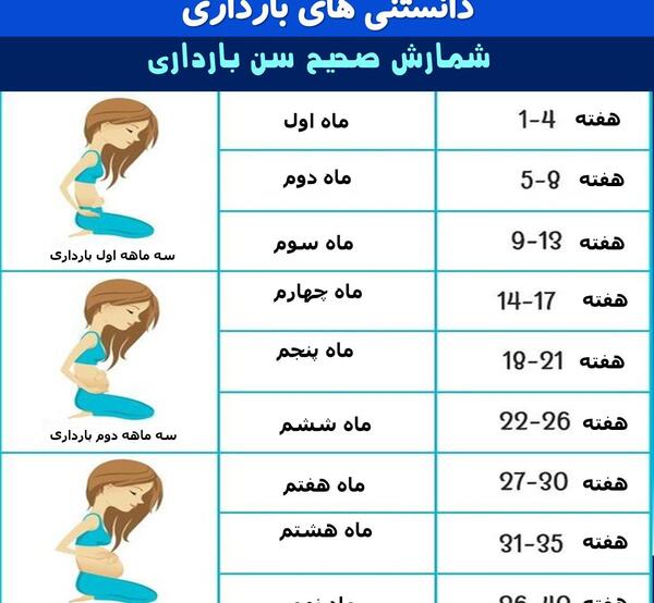عکس ماه های حاملگی