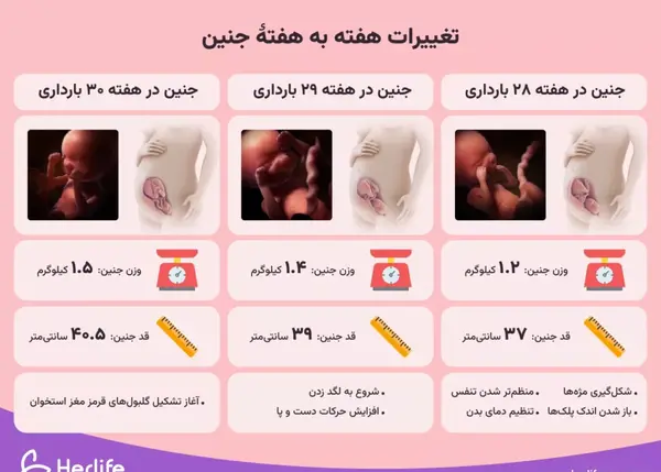 عکس ماه های حاملگی