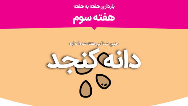 عکس جنین ماه سوم