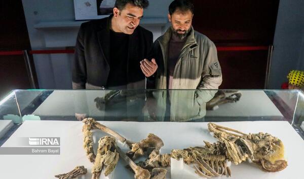 عکس غار مردان نمکی