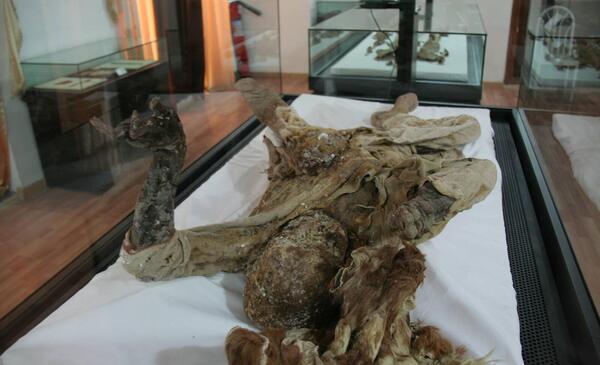 عکس از موزه مردان نمکی
