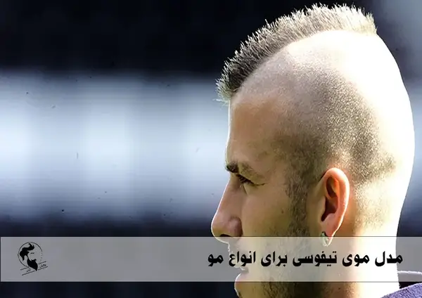 عکس مدل موی تیفوسی مردانه