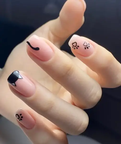 عکس ناخن گربه سیاه