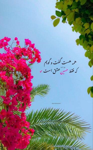 عکس وضعیت محرمی