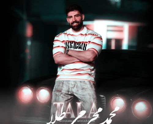 عکس محمد محرمی خواننده
