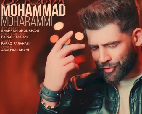 عکس از محمد محرمی