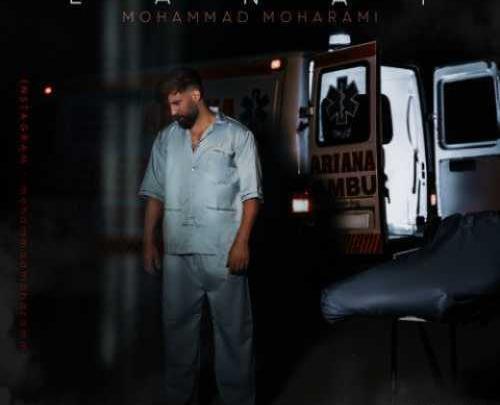 عکس جدید محمد محرمی