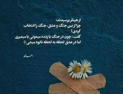 عکس جدید محمد محرمی