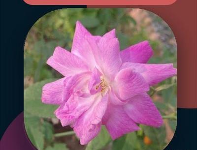 به اون قاب عکس لب پنجره
